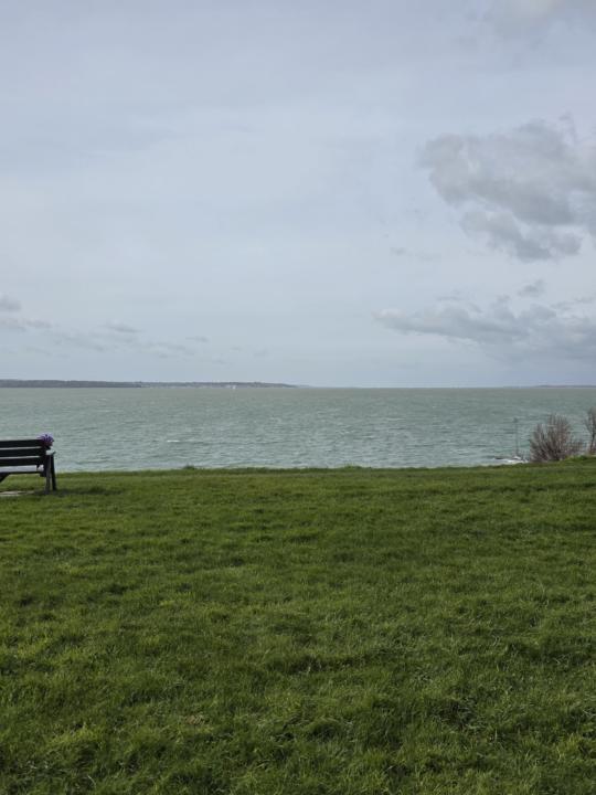 Morning walk
