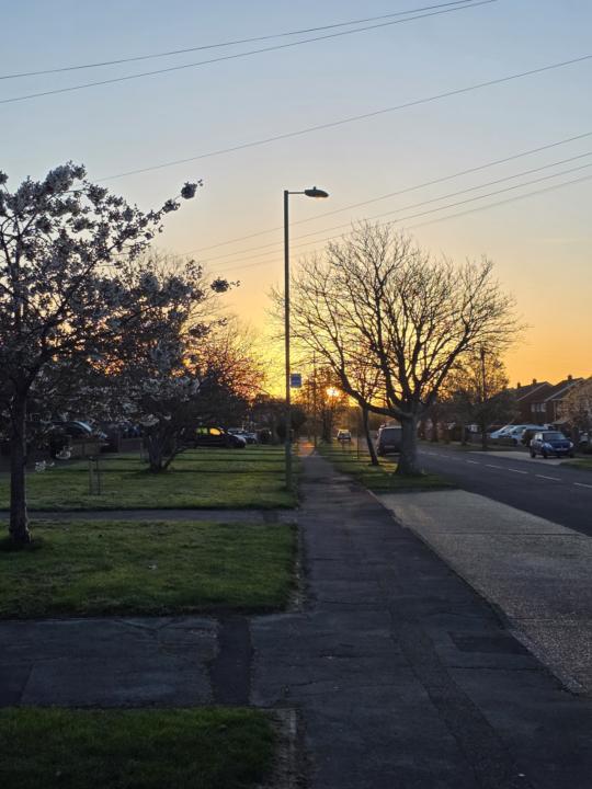 Sunshine