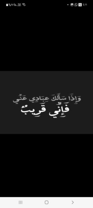 Alshaimaa Abdalla mohamed said