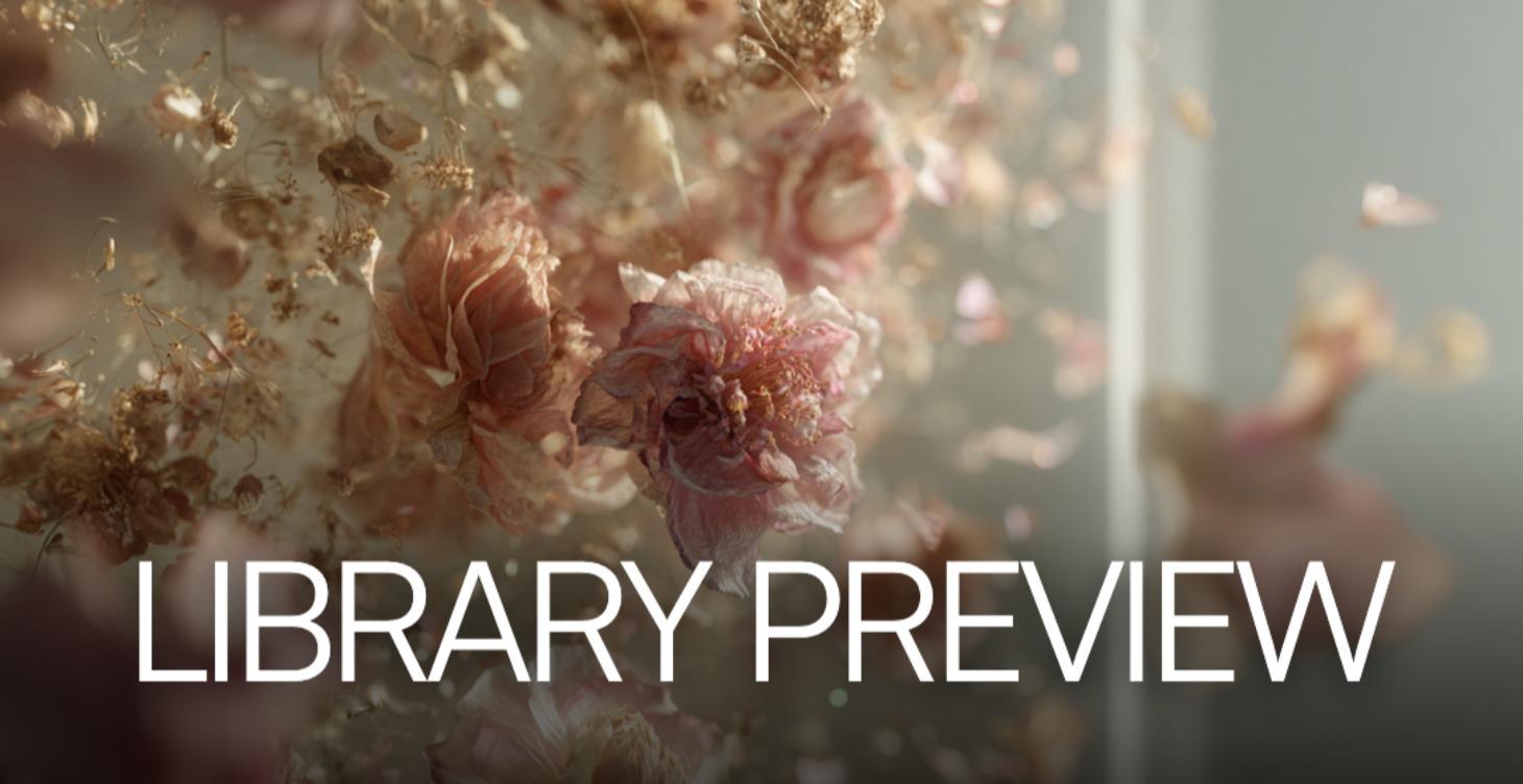 👀 Prompt System Library — Preview