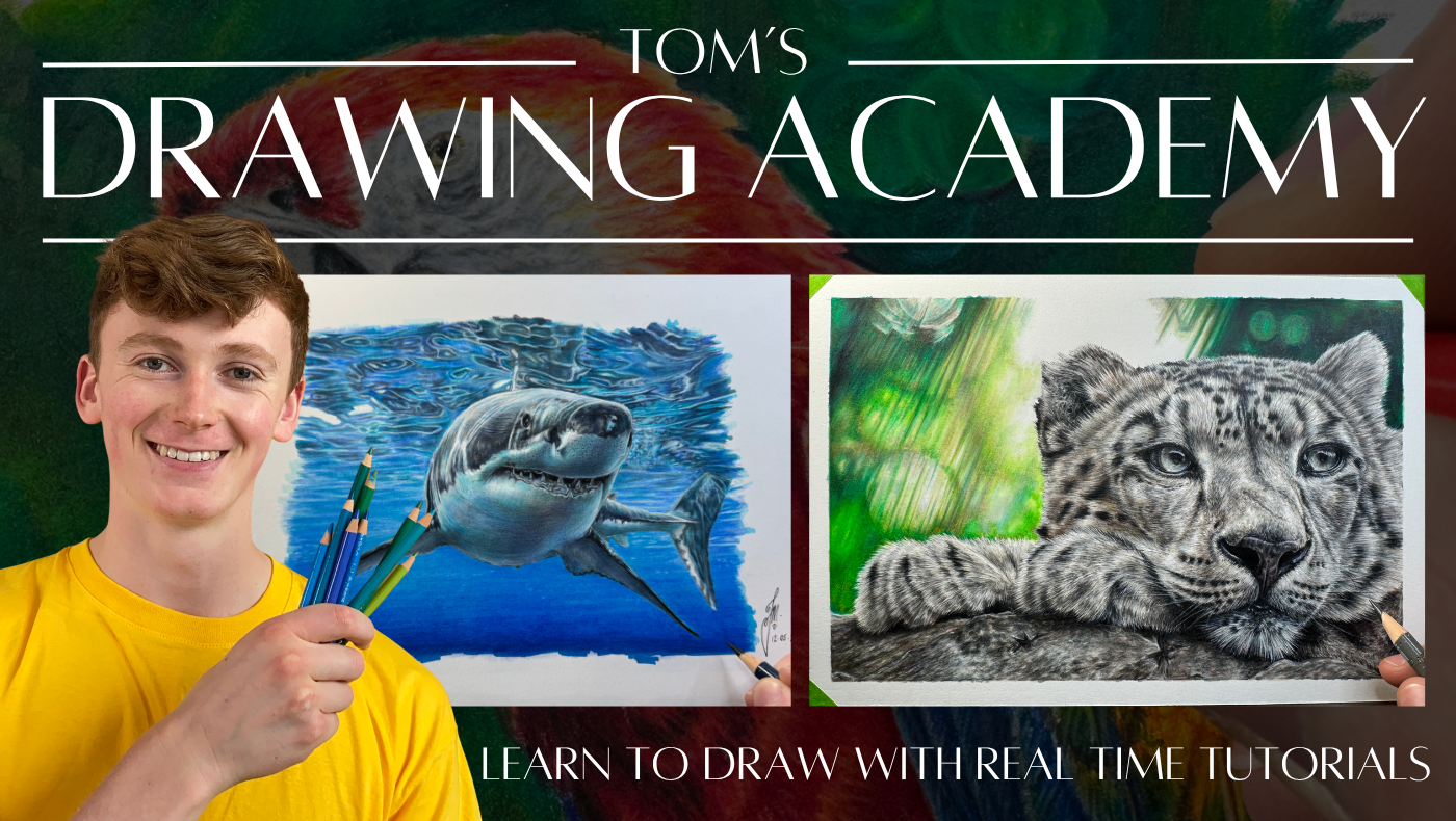 Tom's Drawing Academy