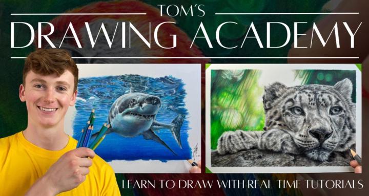 Tom's Drawing Academy