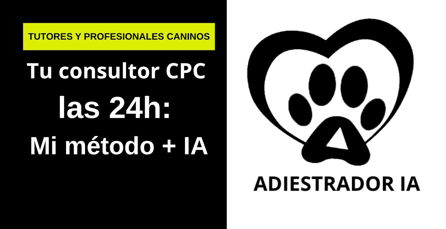Tu consultor CPC las 24h: Mi método + IA