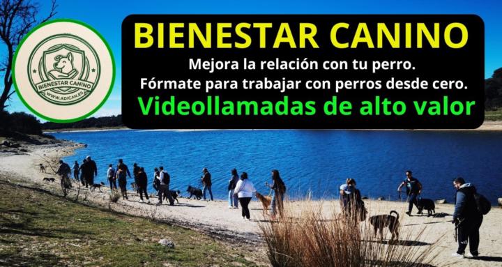 Bienestar Canino