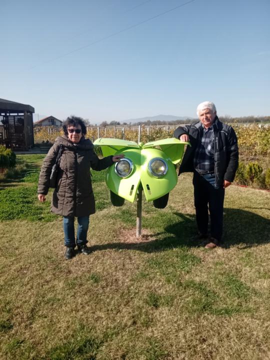 Марияна Вардарова