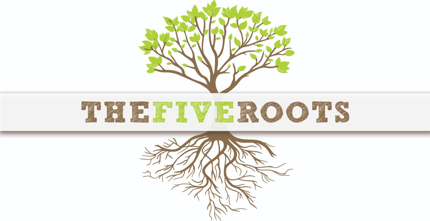 Basiswissen ganzheitliche Gesundheit-TheFiveRoots