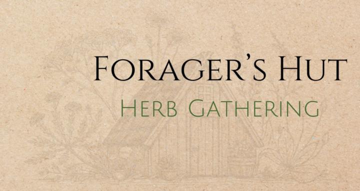 Forager's Hut: Herb Gathering