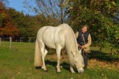 Dörte Schulze Höckelmann