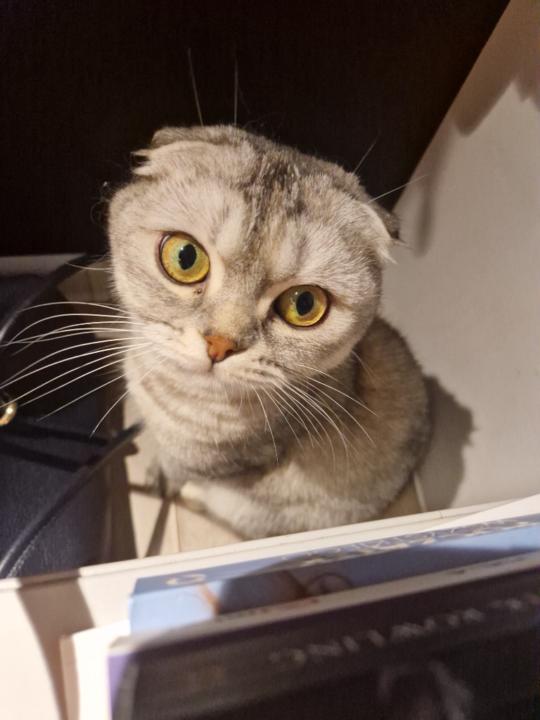 Slomi Hi