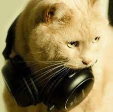 Massimiliano Barresi