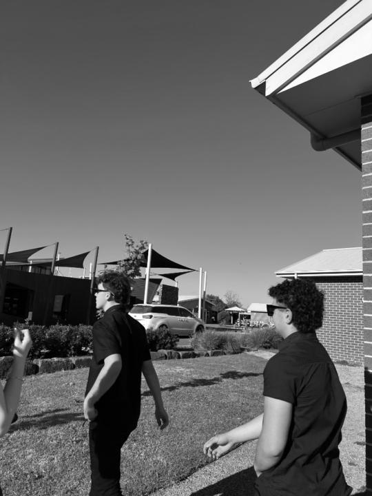 Bailey Van Hostauyen