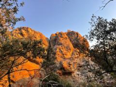 Margot Bourdin millot