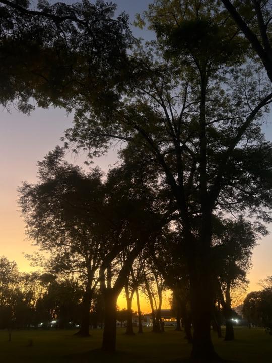 Victor santana Ramirez escalante