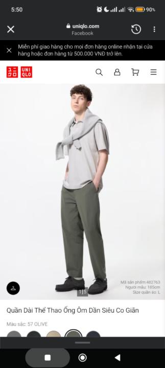 Grey Shining