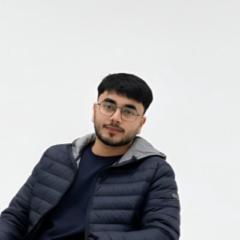 Ali Hamza