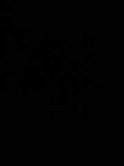 Tord Espeland Aksdal