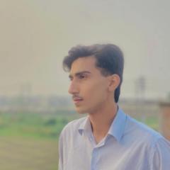Tahir Ali Mir