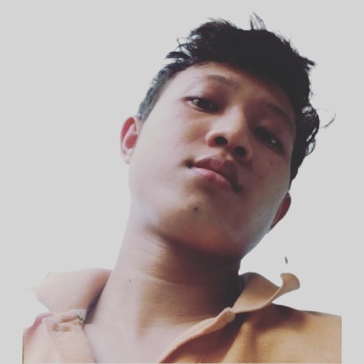 Halcyon Tmung