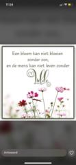 Ilse Van Amerongen