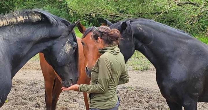 Wildkräuter und Selbstführung