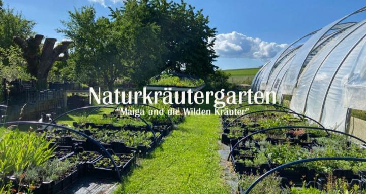 Wildkräuter Schule