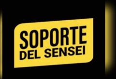 Soporte Wealthy Trades