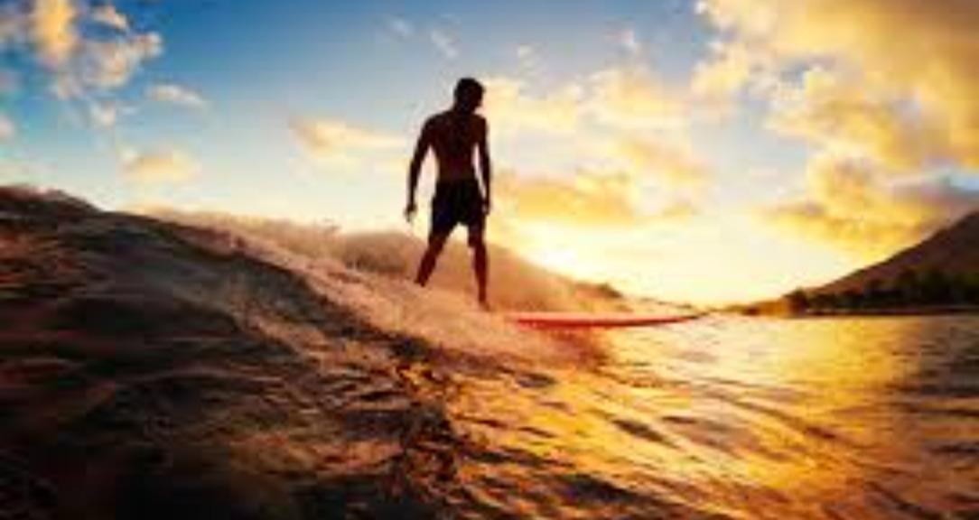 Life Surfers