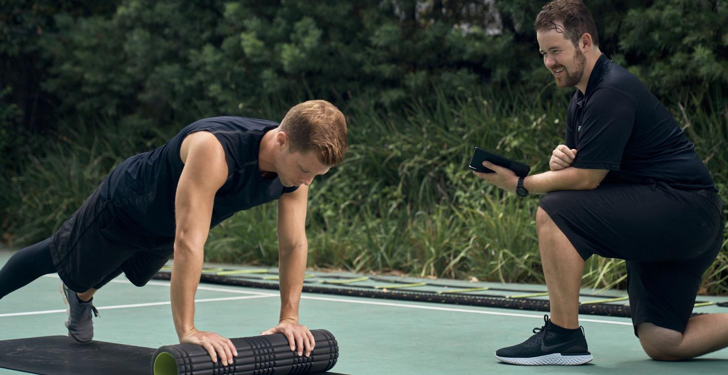 The Anti-Inflammatory System