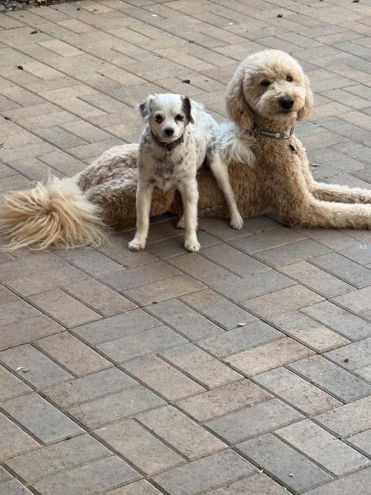 🚨 PLEASE READ & COMPLETE🚨