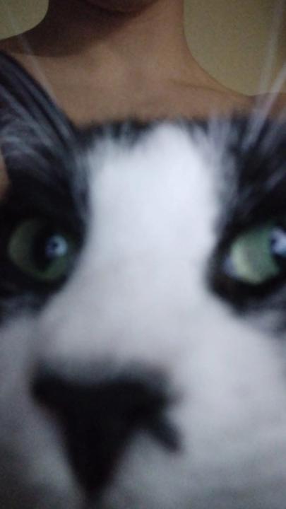 Raúl Hernanz Robles