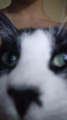 Raúl Hernanz Robles