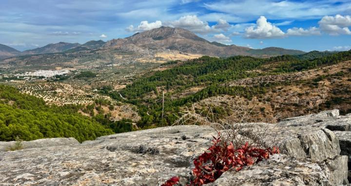 Finansinės laisvės akademija