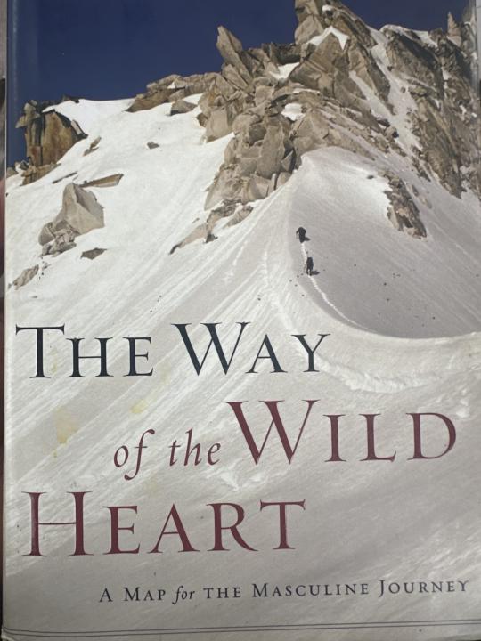 Great book for raising and becoming men