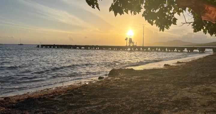 Survivors of Domestic Abuse