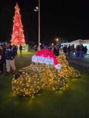 Sergio Vergara sanchez