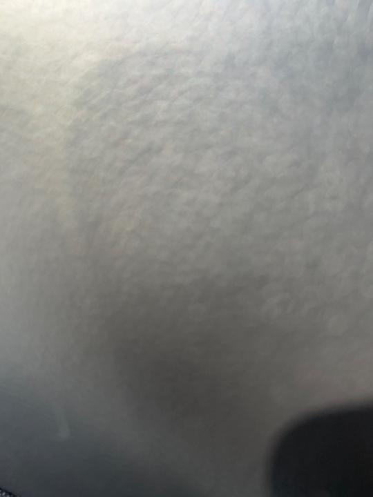 Hector Rodriguez ferrer