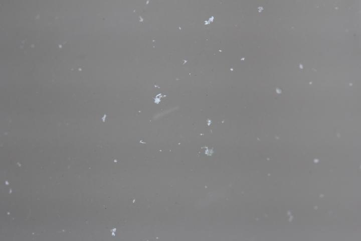 Falling Snowflakes
