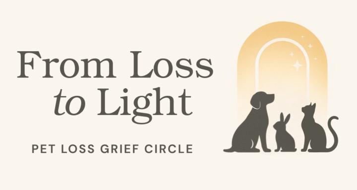From Loss to Light