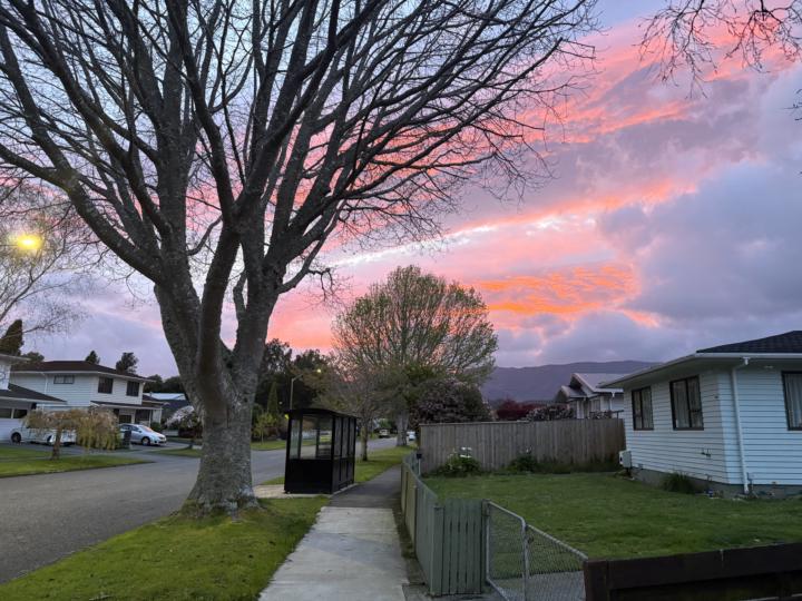 Two Minute Nature Ritual