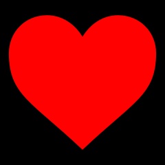 דין גבעתי כהן