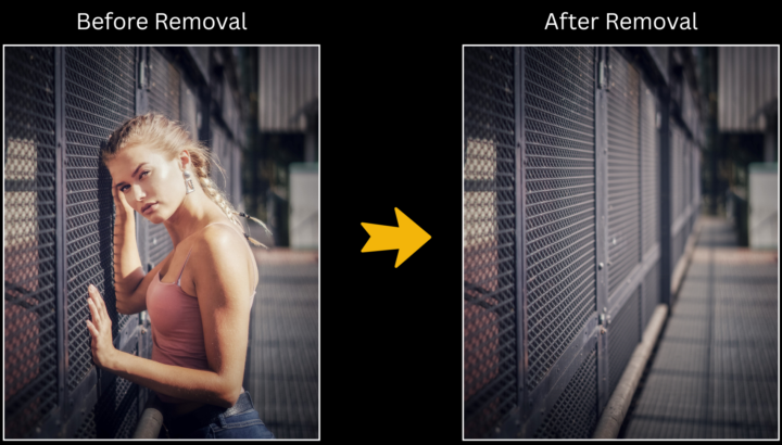 Object/Peson Removal Workflow