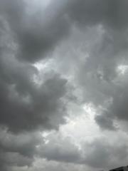 سمر العبيدان