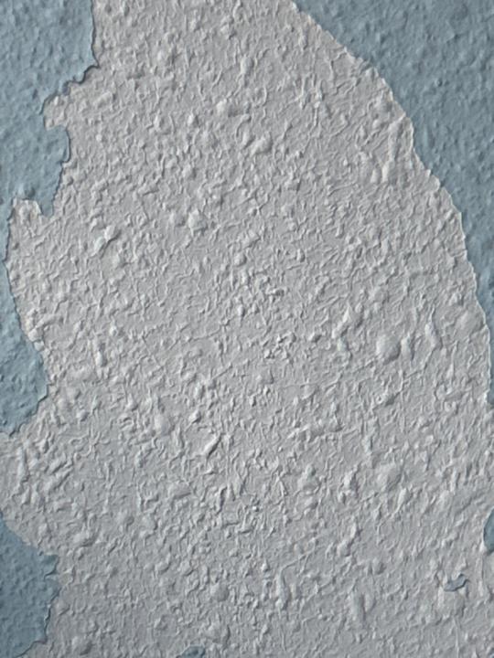 Muhammad Raiyaan