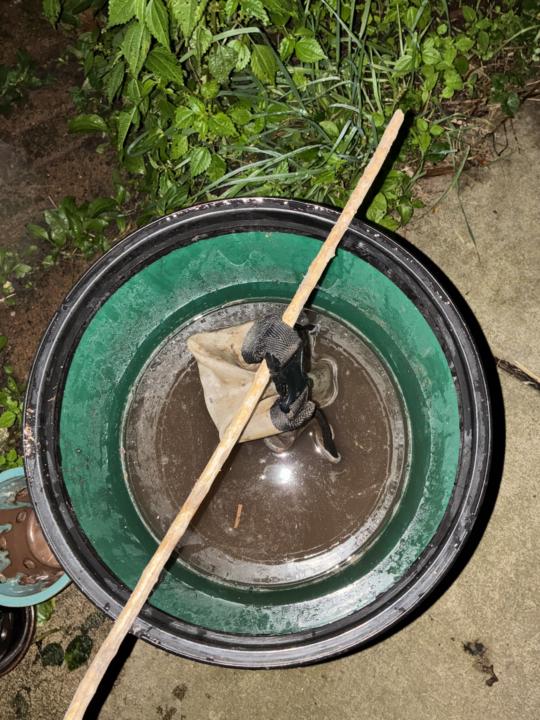 First try making JADAM microbial solution (JMS)