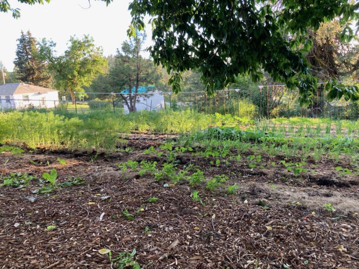 The Griffin Family Farm!