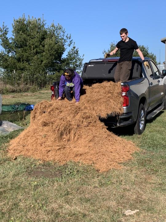 Fruit Farm - New project