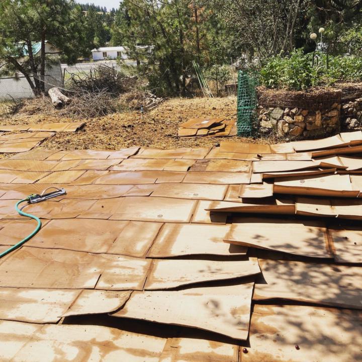 The Griffin Family Farm