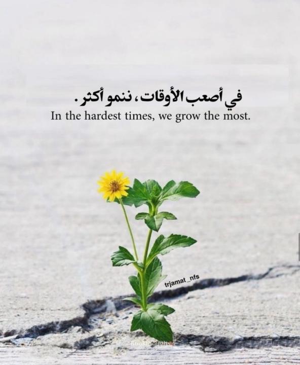 مريم حجاج