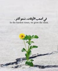 مريم حجاج