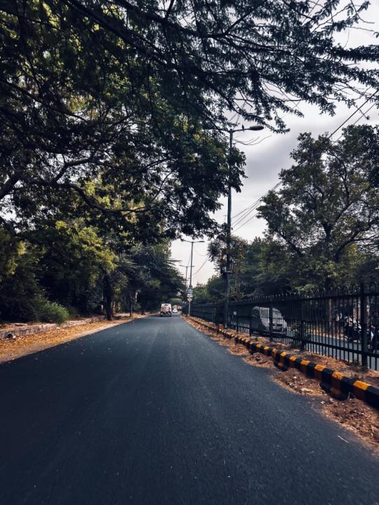 Piyush Rana